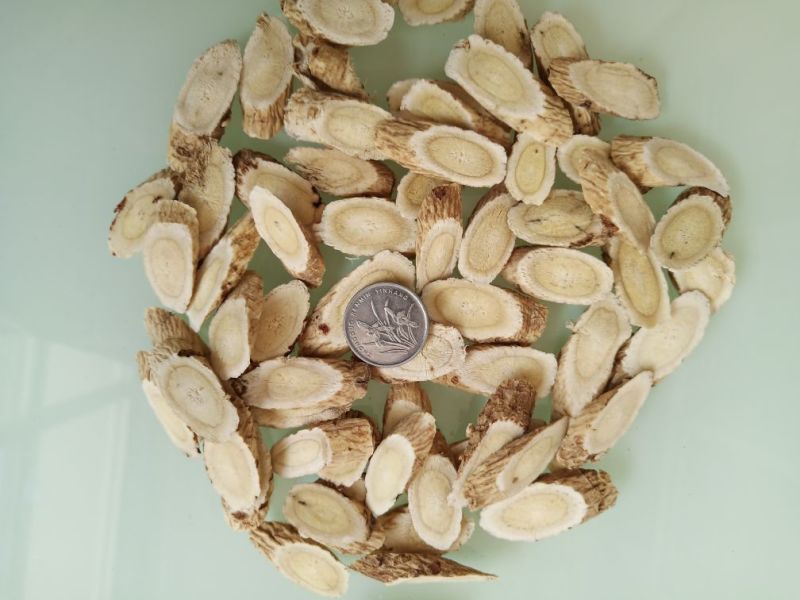 黄芪1cm大片精选货量大优惠精选指甲片
