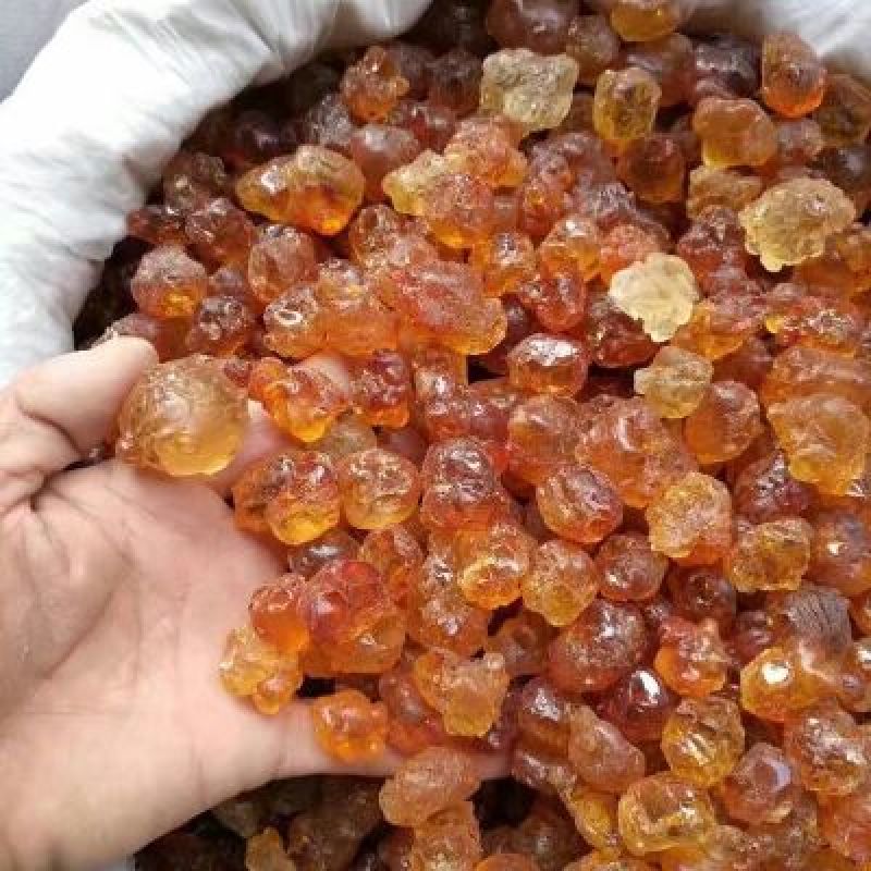10年老树桃胶35包邮