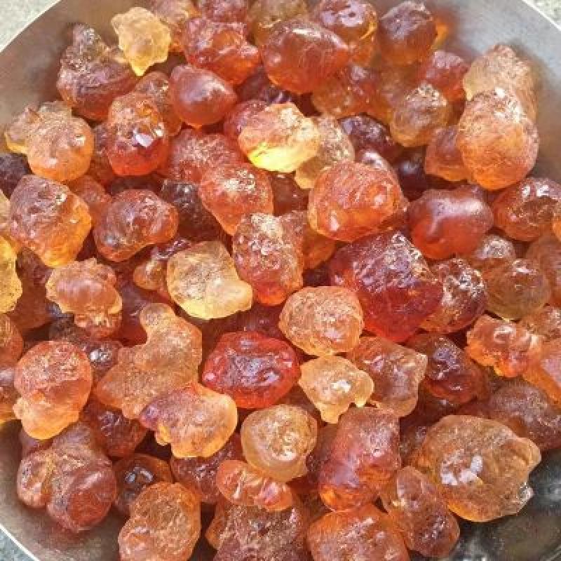 10年老树桃胶35包邮