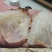 海蜇食用鲜活