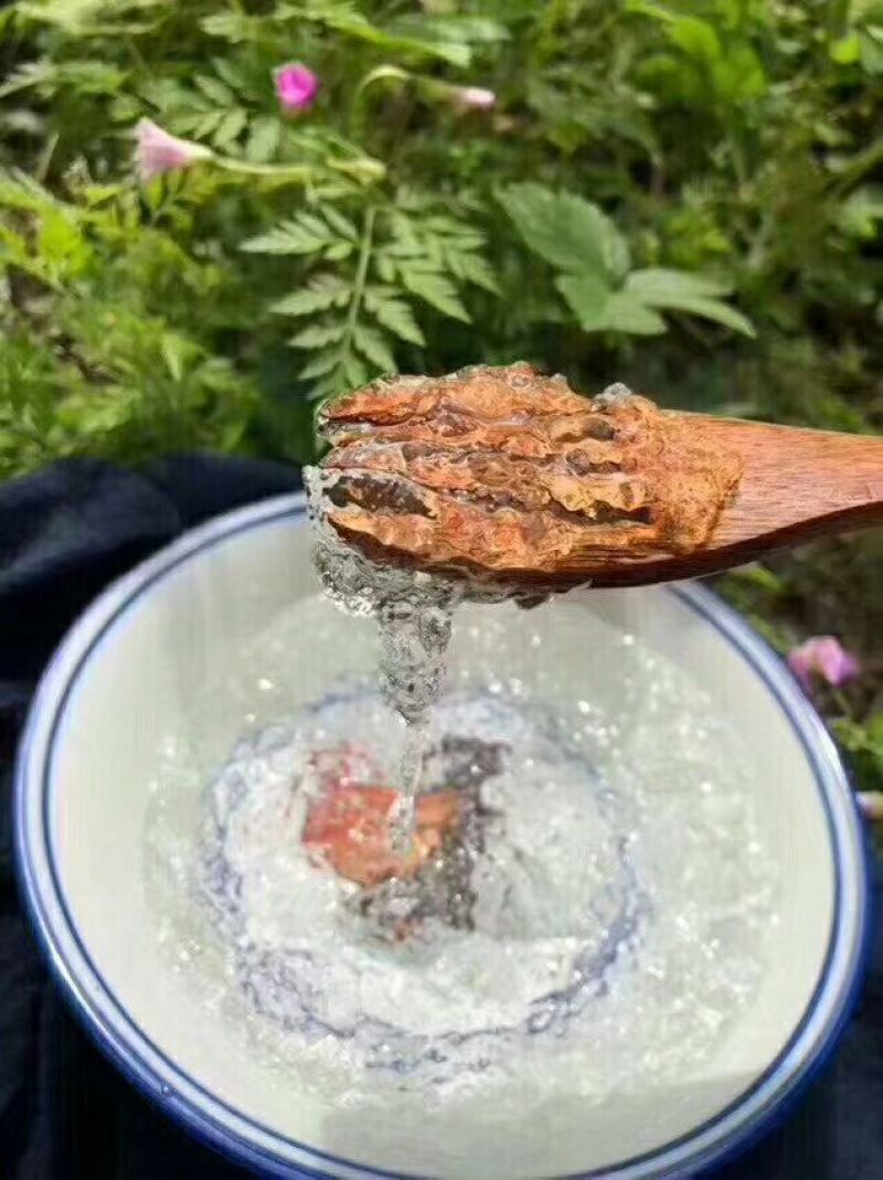 雪燕干货泡发好1斤起包邮量大从优