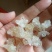 雪燕干货泡发好1斤起包邮量大从优