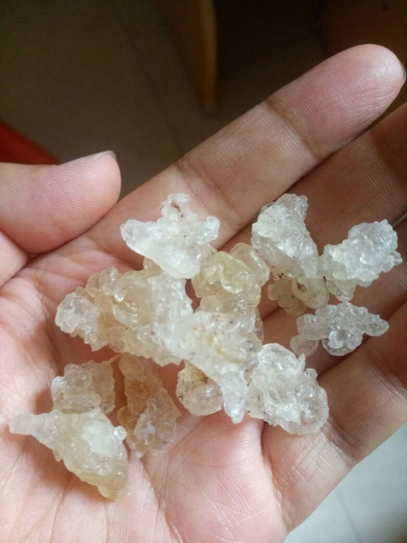 雪燕干货泡发好1斤起包邮量大从优
