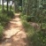 木材