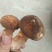 牛肝菌，河南省方城县牛肝菌干片，盐渍，质量非常好产地直供