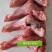 乳牛全系分割产品，乳牛排，乳牛腿，乳牛胴体