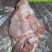 乳牛全系分割产品，乳牛排，乳牛腿，乳牛胴体