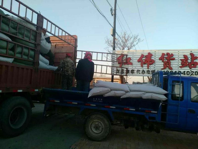供应辽宁省锦州市凌海市荷兰十五土豆