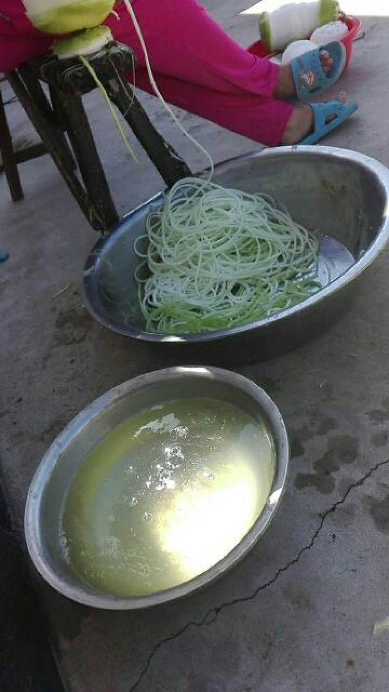 纯天然葫芦条