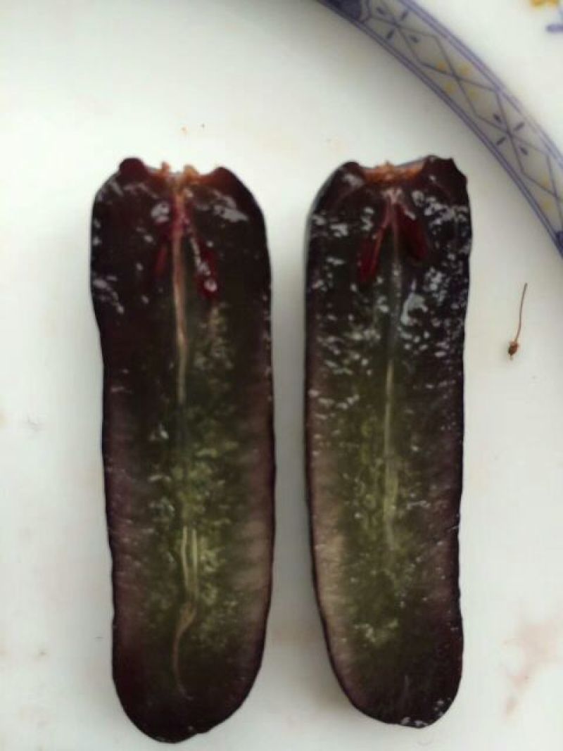 蓝宝石葡萄苗基地直供保证纯度保证质量假一赔万