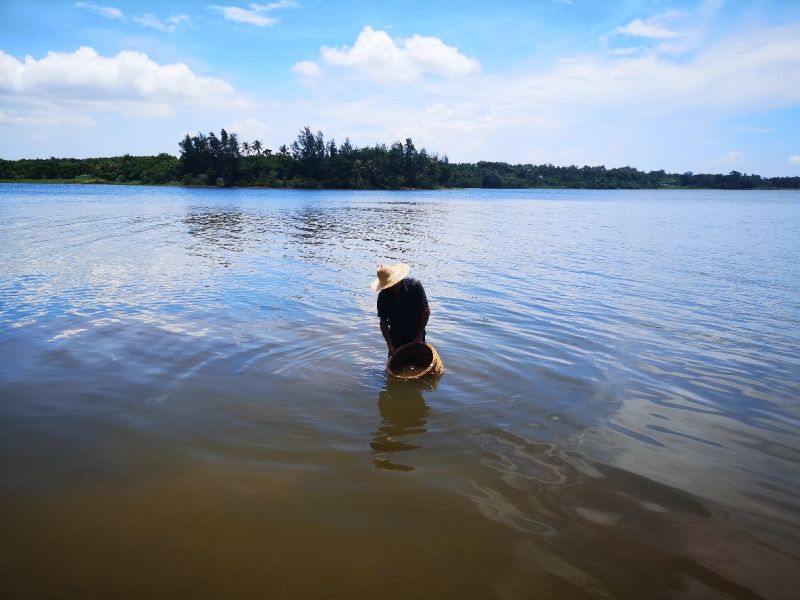 海南白胡椒