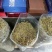 浙江铁皮石斛干条胶质好2斤起包邮量大从优