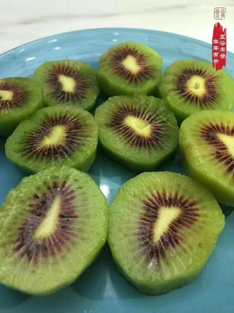来自云贵高原的纯正红心猕猴桃