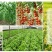 种植菌种em益生菌果树堆肥专用发酵剂叶面喷洒防病调理土壤