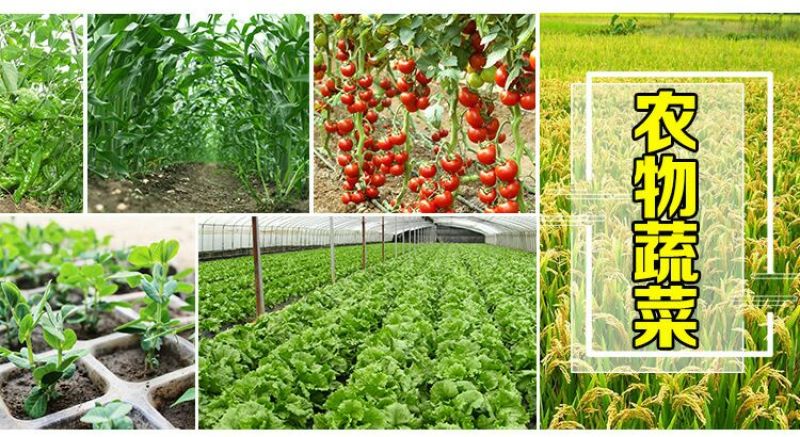 种植菌种em益生菌果树堆肥专用发酵剂叶面喷洒防病调理土壤