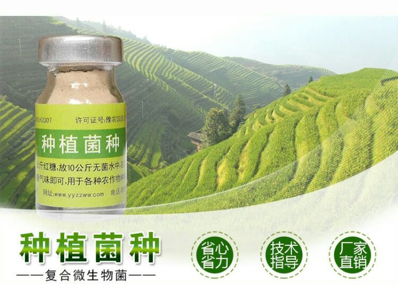 种植菌种em益生菌果树堆肥专用发酵剂叶面喷洒防病调理土壤