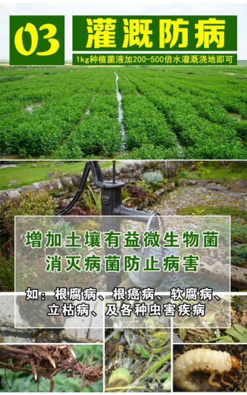 种植菌种em益生菌果树堆肥专用发酵剂叶面喷洒防病调理土壤