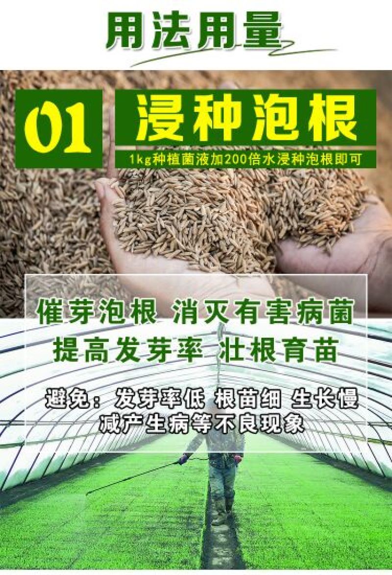 种植菌种em益生菌果树堆肥专用发酵剂叶面喷洒防病调理土壤