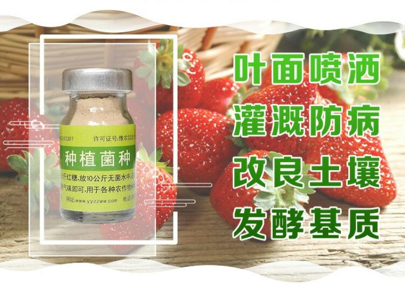 种植菌种em益生菌果树堆肥专用发酵剂叶面喷洒防病调理土壤