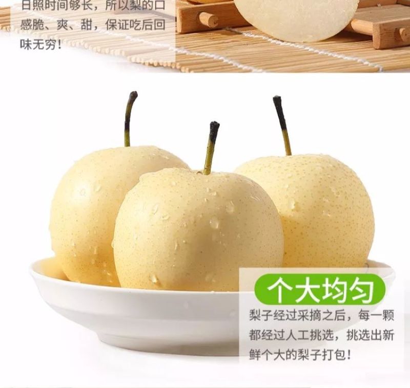 【牛商推荐】精品皇冠梨脆甜多汁产地直达电商一件代发