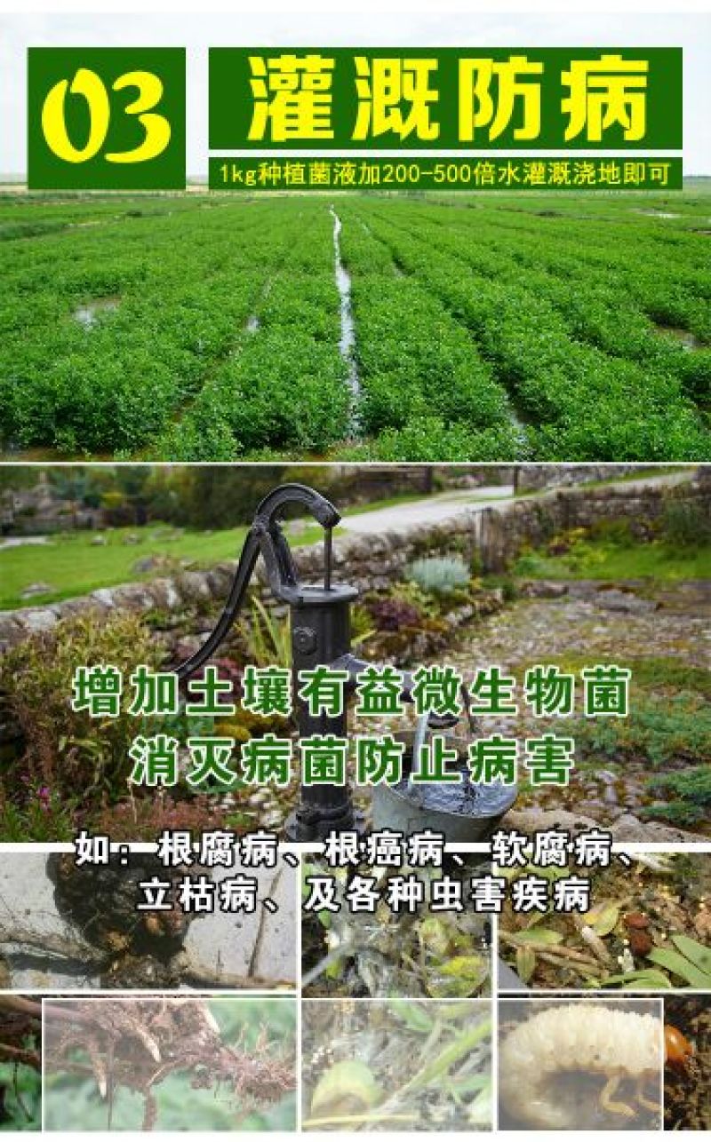 em种植菌液土壤改良剂葡萄专用菌益生菌药材果树蔬菜花卉用