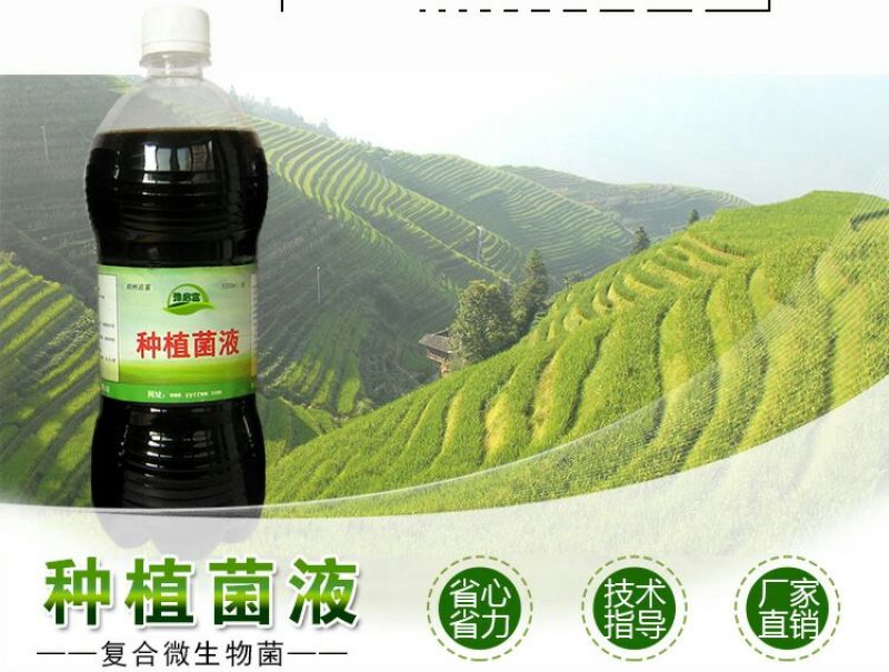 em种植菌液土壤改良剂葡萄专用菌益生菌药材果树蔬菜花卉用
