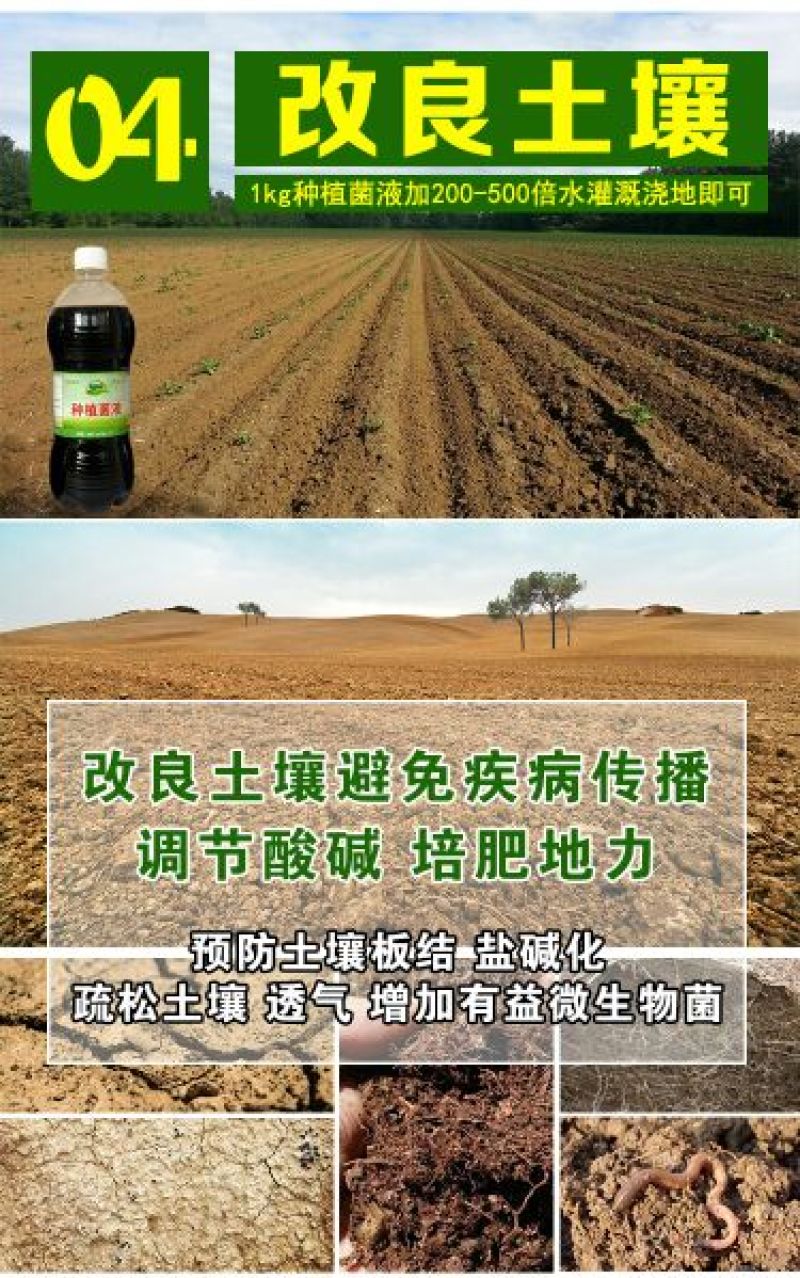em种植菌液土壤改良剂葡萄专用菌益生菌药材果树蔬菜花卉用