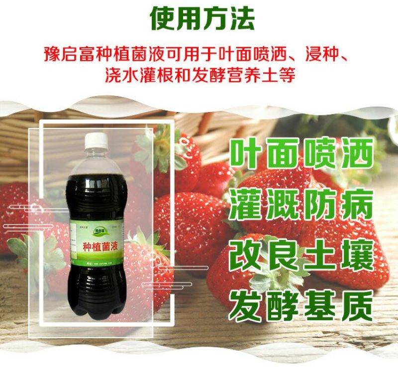 em种植菌液土壤改良剂葡萄专用菌益生菌药材果树蔬菜花卉用