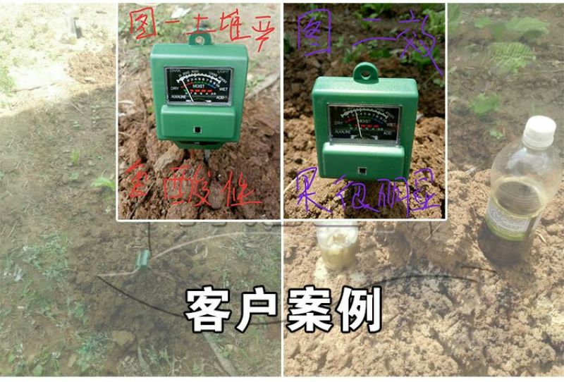 em种植菌液土壤改良剂葡萄专用菌益生菌药材果树蔬菜花卉用