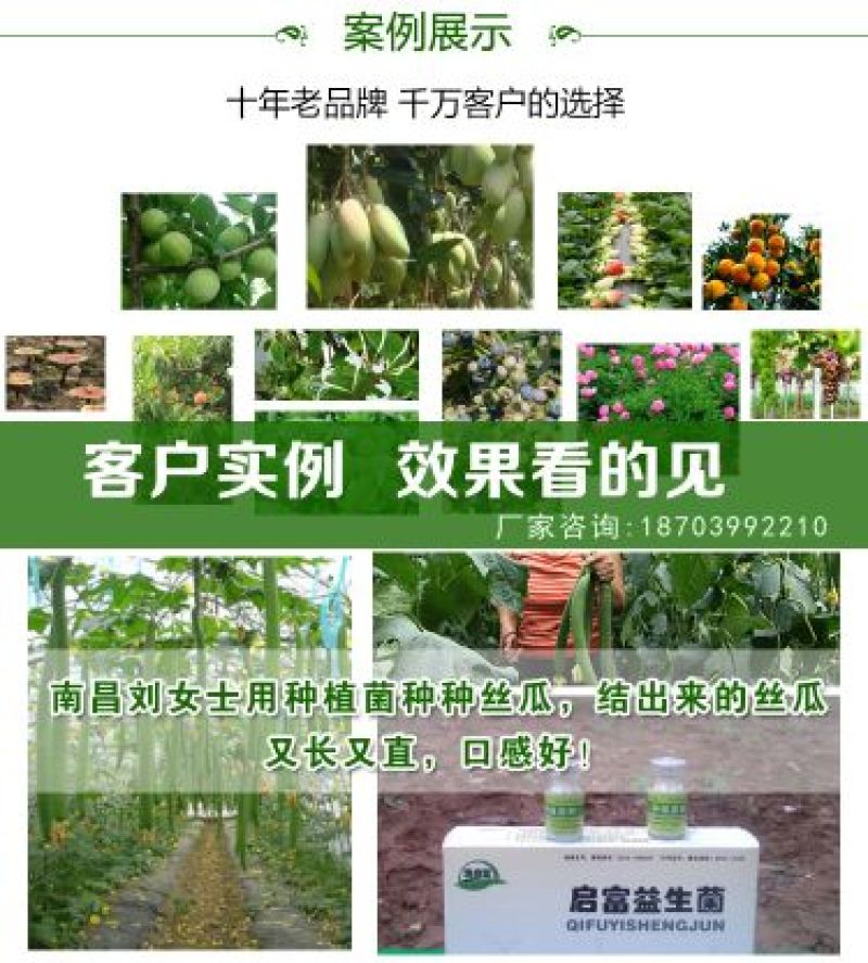 em种植菌液土壤改良剂葡萄专用菌益生菌药材果树蔬菜花卉用