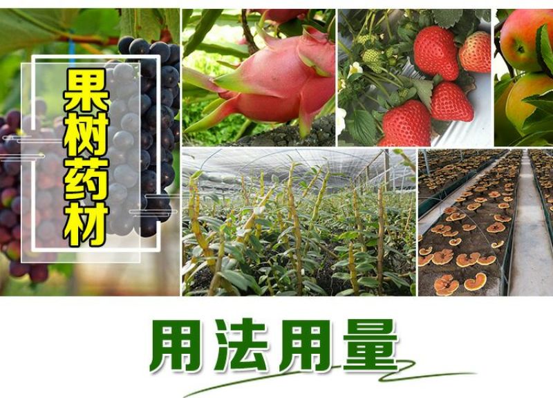em种植菌液土壤改良剂葡萄专用菌益生菌药材果树蔬菜花卉用