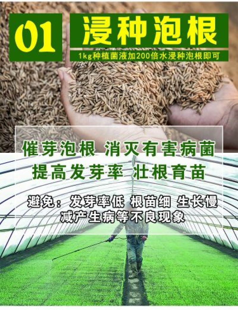 em种植菌液土壤改良剂葡萄专用菌益生菌药材果树蔬菜花卉用