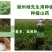 em种植菌液土壤改良剂葡萄专用菌益生菌药材果树蔬菜花卉用