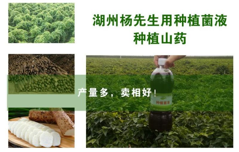 em种植菌液土壤改良剂葡萄专用菌益生菌药材果树蔬菜花卉用