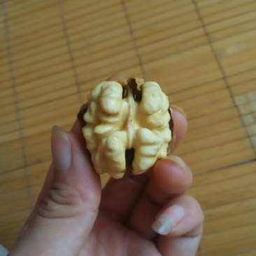 青皮核桃