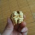 青皮核桃