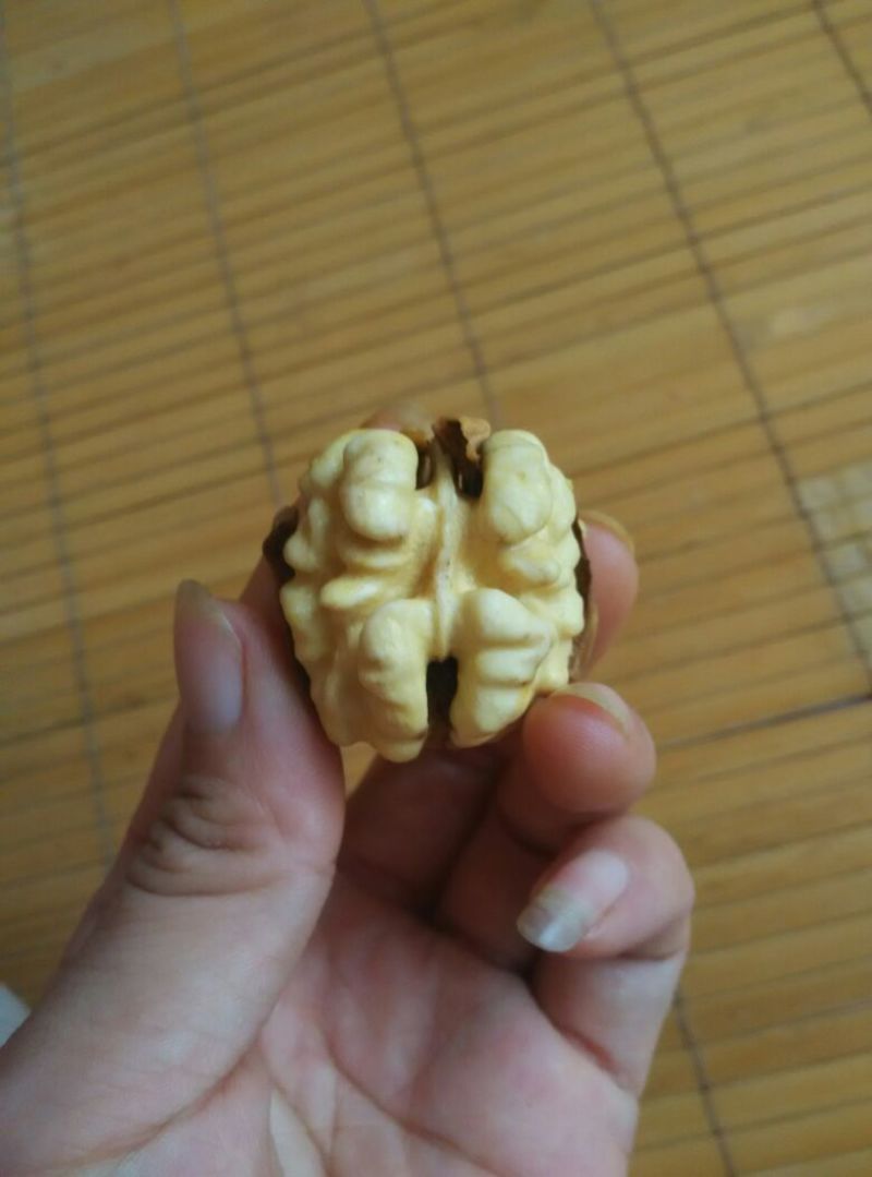 青皮核桃