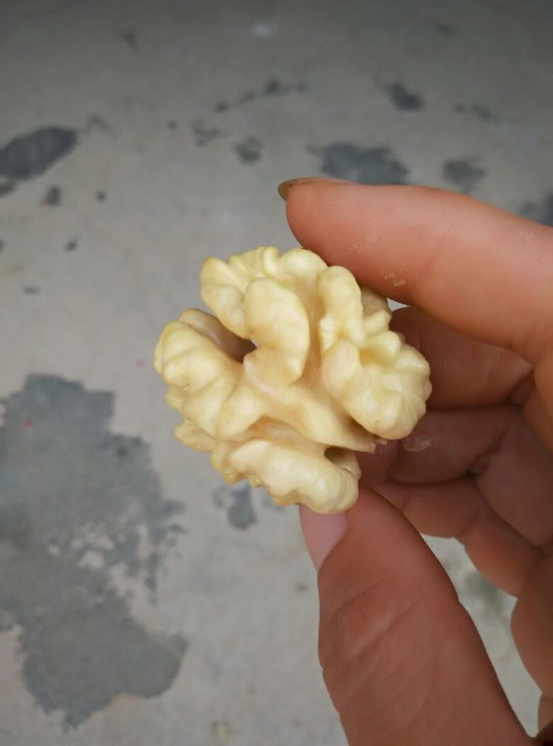 青皮核桃