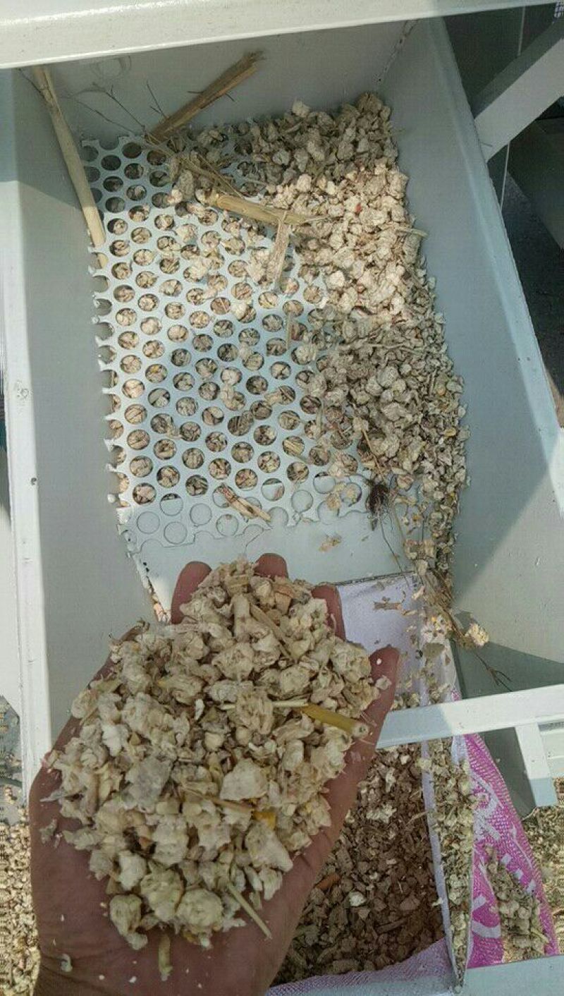 双比重环保精选机