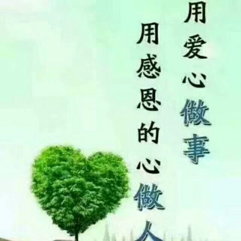 出售玉米