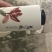 微山湖荷叶茶