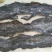 福建海带（挂菜）