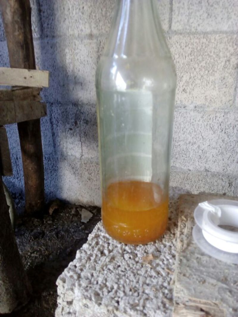 山苍子