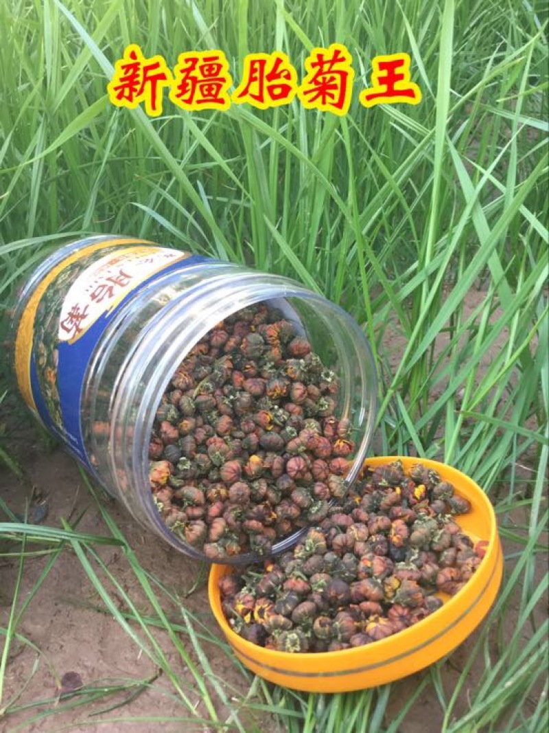 胎菊王罐装