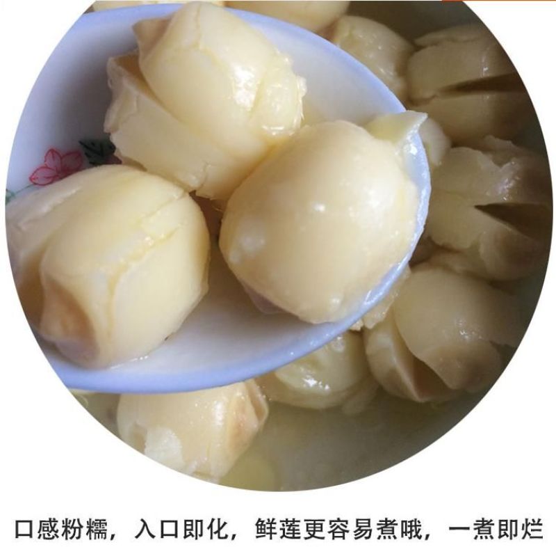 新鲜去芯白莲子，去心了的莲子米，湿的鲜白莲