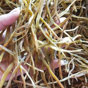 陕西富平干黄花菜《新货》需要的联系