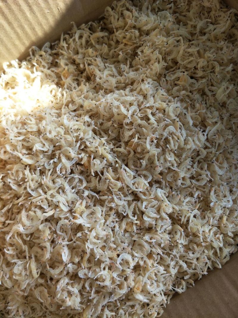 饲料