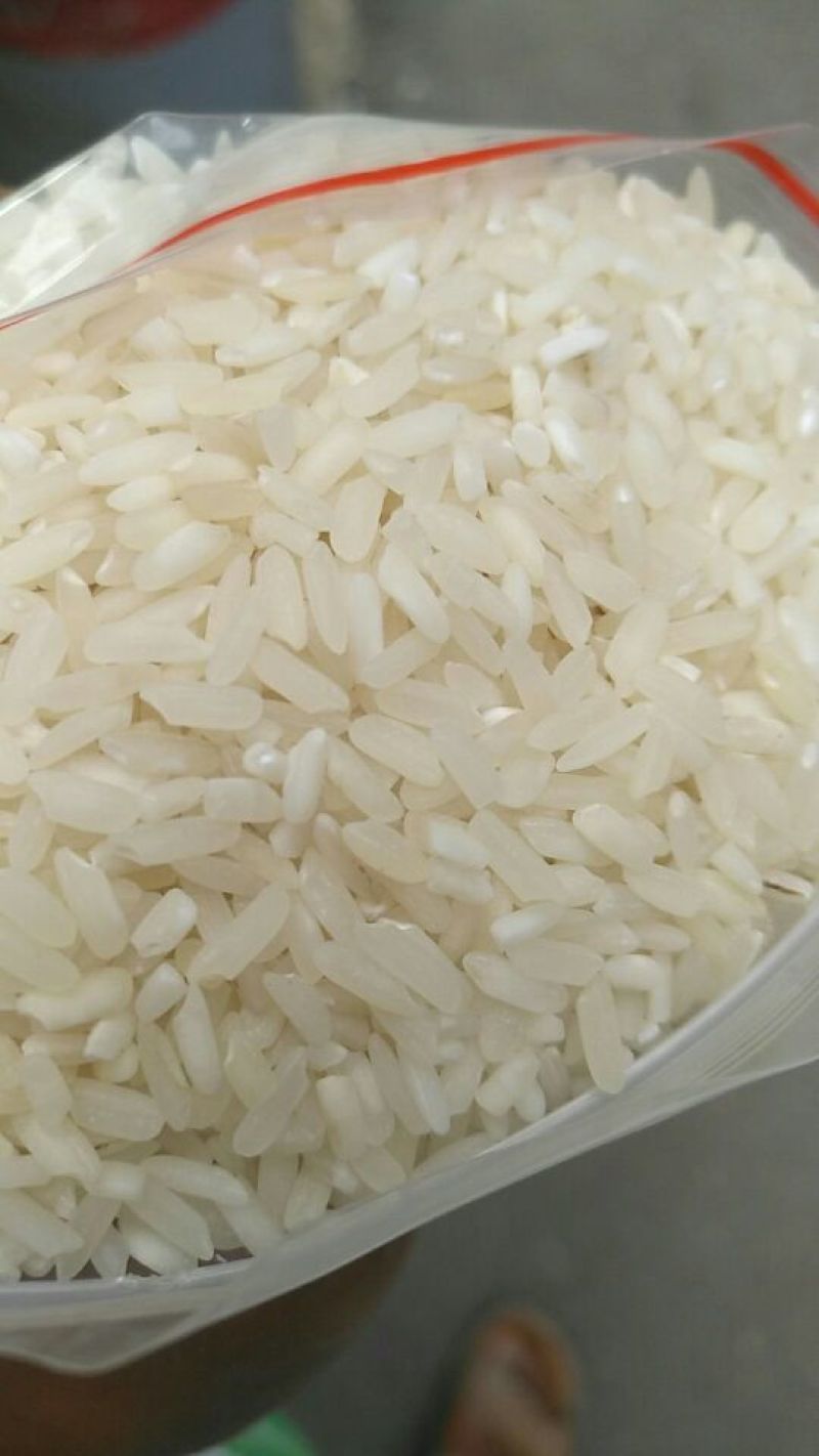 湖南大米食堂专用米无黄无黑无异味大量现货保质保量