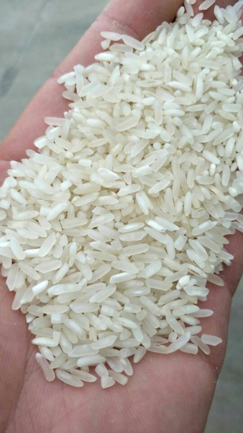 湖南大米食堂专用米无黄无黑无异味大量现货保质保量