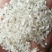 湖南大米食堂专用米无黄无黑无异味大量现货保质保量